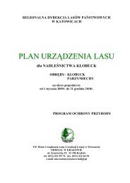 plan urzÄdzenia lasu - PaÅstwowe Gospodarstwo LeÅne LASY ...