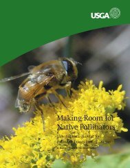 Making Room for Native Pollinators