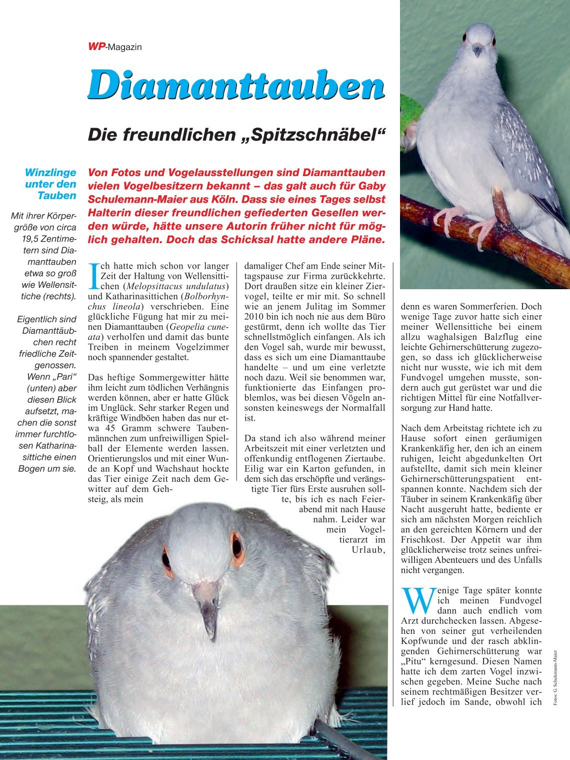 Birds-Online Birds-Online