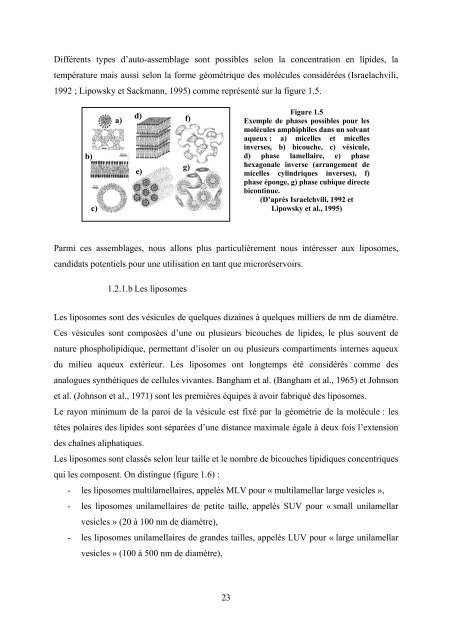 TÃ©lÃ©charger - Laboratoire ColloÃ¯des et MatÃ©riaux DivisÃ©s - Espci