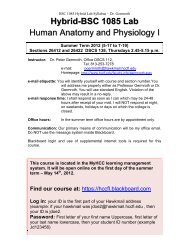 Hybrid-BSC 1085 Lab Human Anatomy and Physiology I