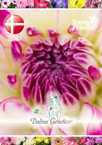 Dalina Genetics® - Young Flowers A/S
