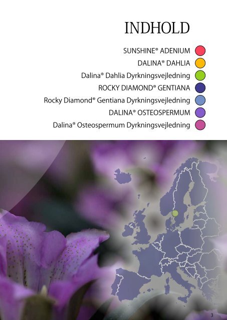 Dalina Genetics® - Young Flowers A/S