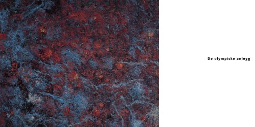 Kanthaugen Freestyleanlegg - Håkons Hall