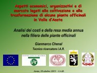 Relazione Chenal