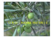 LIPIDI – MASNE MATERIJE - Raka Web