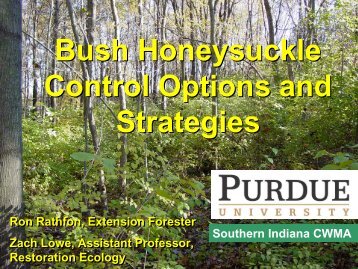 Asian Bush Honeysuckle Control Options and Strategies