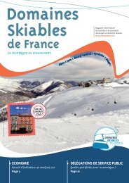 DSF nÂ° 28 - Domaines Skiables de France