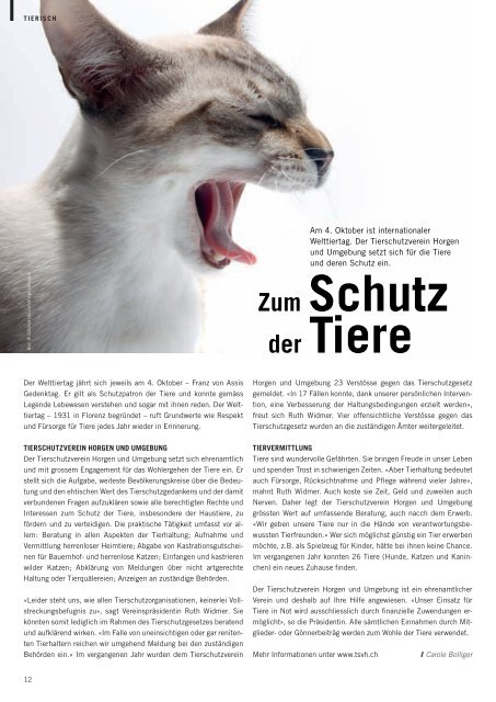 Ausgabe September 2011 - Zimmerberg-Magazin