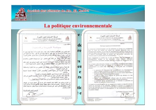 Politique environnementale