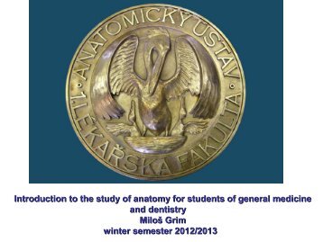 Introduction to the study of anatomy for students