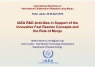IAEA R&D Activities in Support of the Innovative Fast Reactor ...