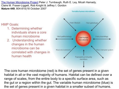 The Human Microbiome - Bioconductor