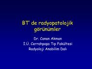 BT' de radyopatolojik gÃ¶rÃ¼nÃ¼mler