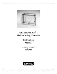 Mini-PROTEAN II Multi-Casting Chamber Instruction Manual - Bio-Rad