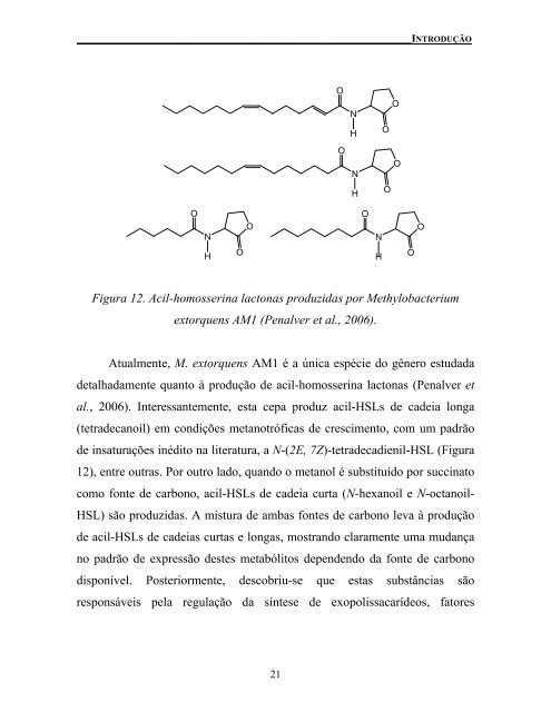 armando mateus pomini - Biblioteca do Instituto de QuÃ­mica - Unicamp