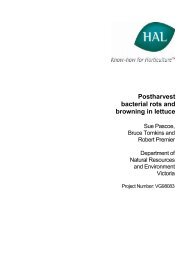 Postharvest bacterial rots and browning in lettuce - Vegetable ...