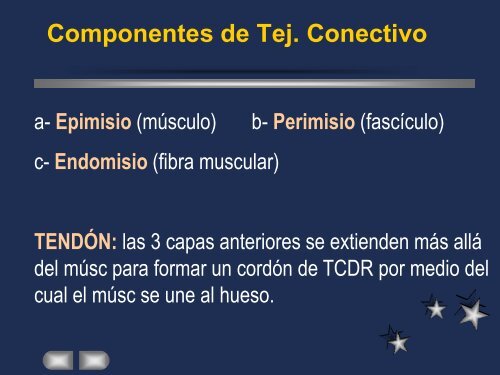 SISTEMA MUSCULAR