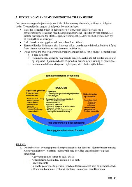 Plan for mennesker med demens 2008-2012 - Drammen kommune