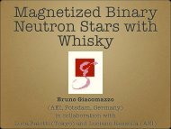 Magnetized Binary Neutron Stars with Whisky