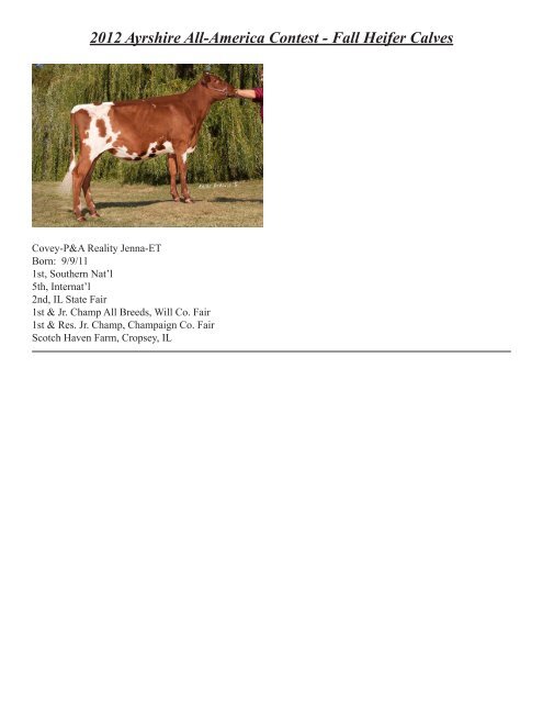 2012 Ayrshire All-America Contest - Fall Heifer Calves