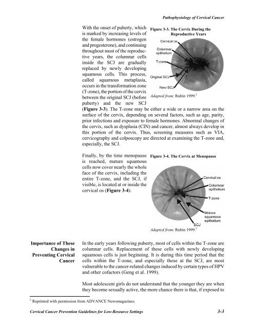 Reference Manual - IARC Screening Group