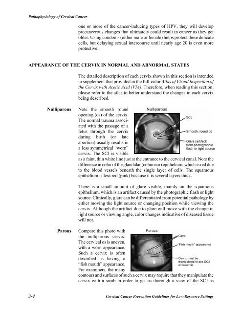 Reference Manual - IARC Screening Group