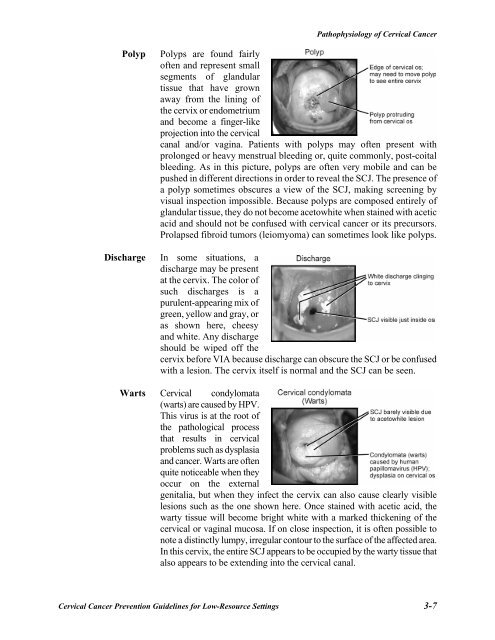 Reference Manual - IARC Screening Group