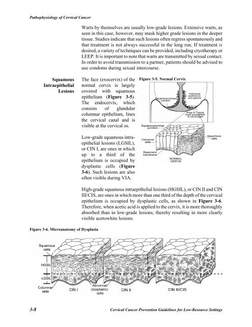 Reference Manual - IARC Screening Group