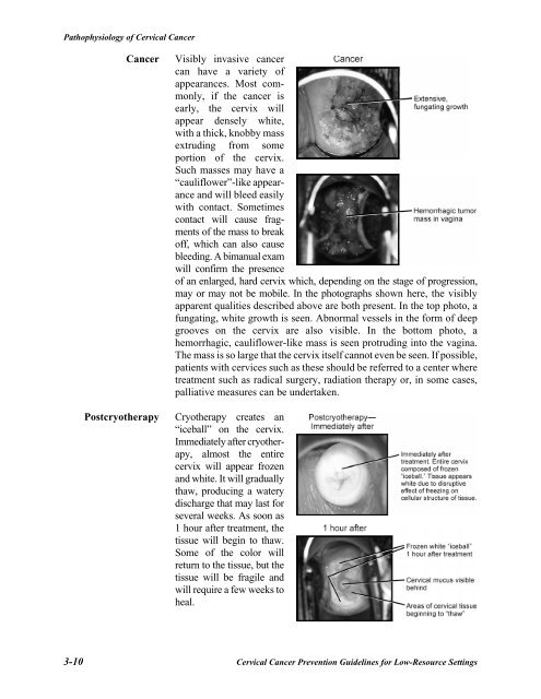 Reference Manual - IARC Screening Group