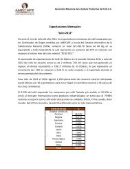 Exportaciones Mensuales “Julio 2012” - amecafé