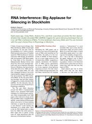 RNA Interference: Big Applause for Silencing in Stockholm