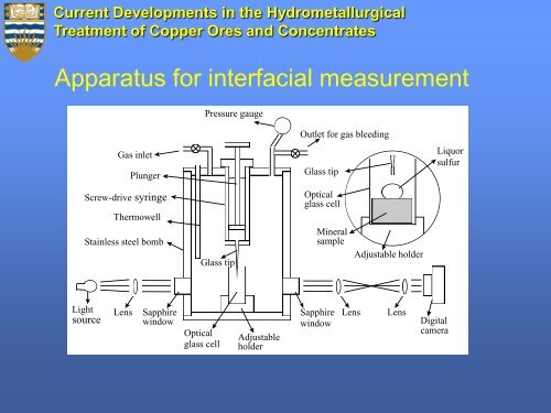 Current Developments in the Hydrometallurgical Treatment of ...