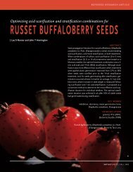 russet buffaloberry seeds - Native Plants Journal