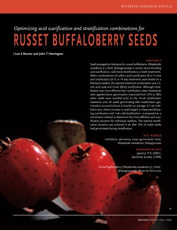 russet buffaloberry seeds - Native Plants Journal