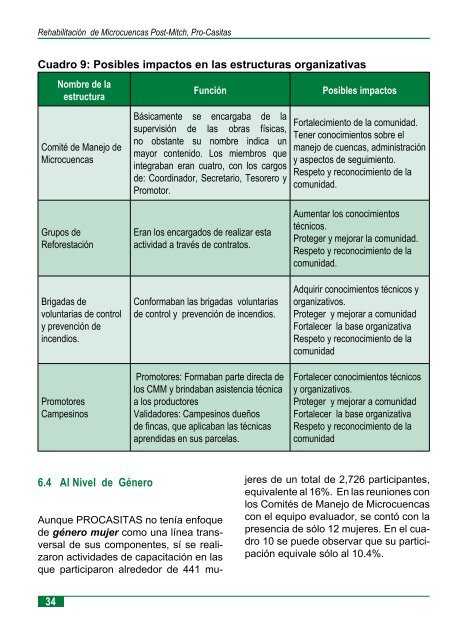 rehabilitacion de microcuencas post mitch - magfor