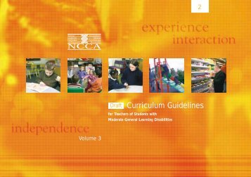 DrafT ARTS NCCA Curriculum Guidelines Vol 3 - MOST.ie