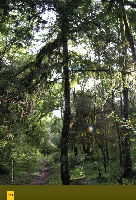 Reserva de Biosfera de las Yungas - FundaciÃ³n ProYungas