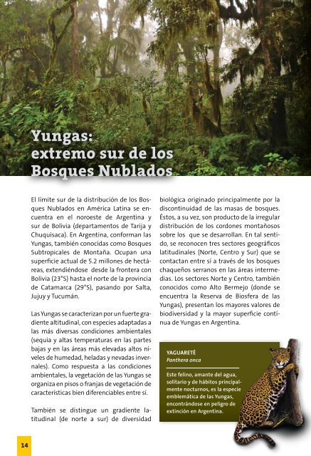 Reserva de Biosfera de las Yungas - FundaciÃ³n ProYungas