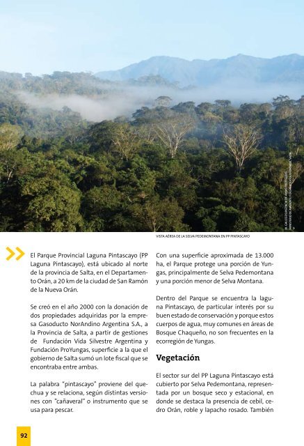 Reserva de Biosfera de las Yungas - FundaciÃ³n ProYungas