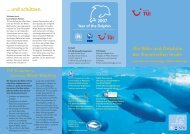 Leitfaden für nachhaltiges Whale Watching - TUI AG