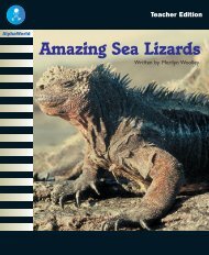 Amazing Sea Lizards