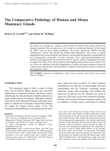 The Comparative Pathology of Human and Mouse Mammary Glands