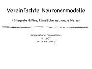 Vereinfachte Neuronenmodelle - Computational Neuroscience