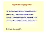 13. Apparato digerente poligastrici .pdf - Scienze Zootecniche