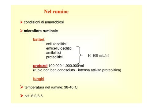 13. Apparato digerente poligastrici .pdf - Scienze Zootecniche