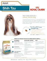 Shih Tzu 24TM - Royal Canin Canada