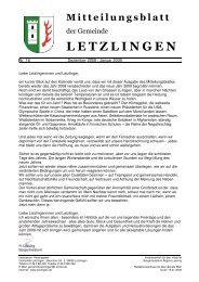 Mitteilungsblatt Nr.: 16 (Dezember 2008 / Januar 2009) - Letzlingen