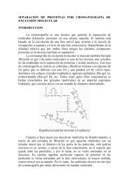 SEPARACIÓN DE PROTEÍNAS POR CROMATOGRAFÍA DE ...