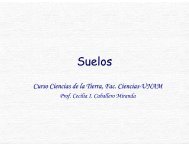 FormaciÃ³n suelos (pdf)